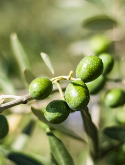 4008云顶集团|中国有限公司-官方网站