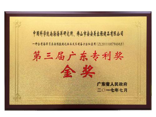 2017 3rd Guangdong Patent Award - Gold Award